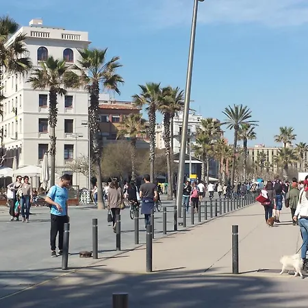 Aapartments In Center